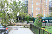 Ураган Айрин в Бруклин, Нью-Йорк